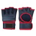 MMA Gloves